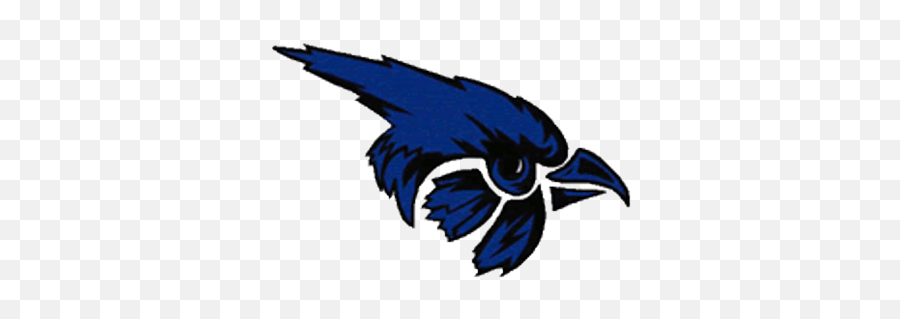 Pierce Bluejays - Pierce High School Nebraska Png,Blue Jays Logo Png