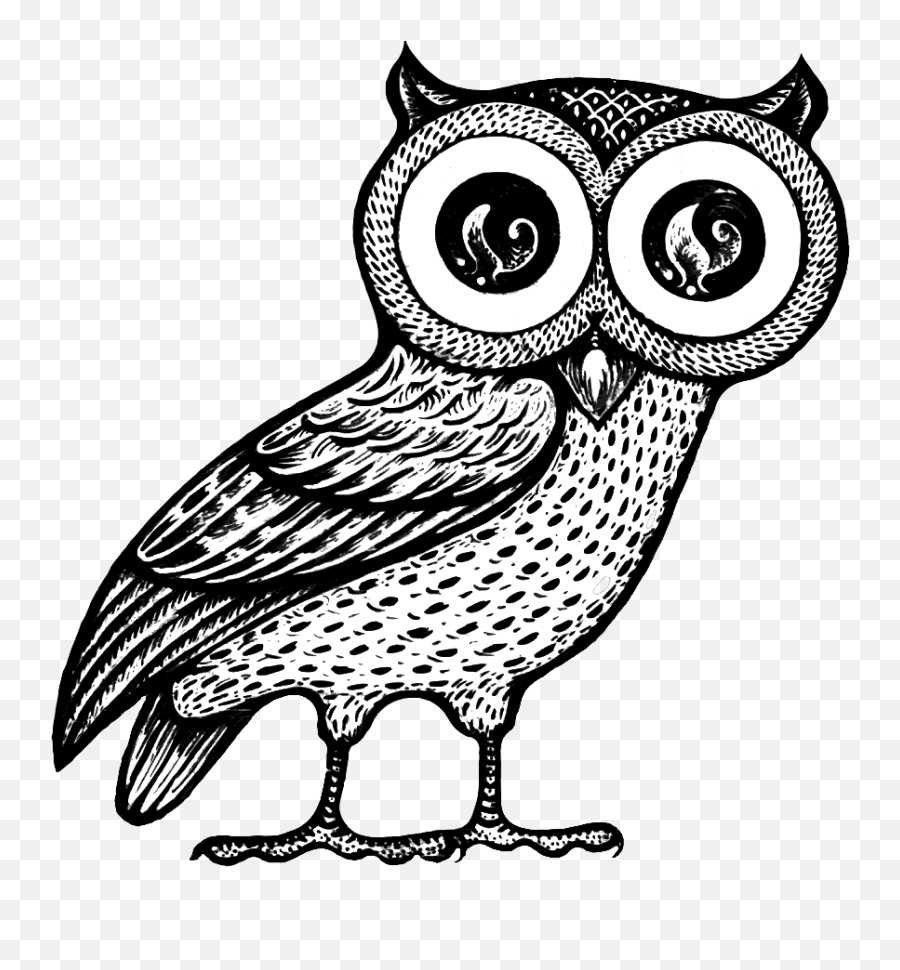 Athena Owl - Owl Of Athena Png,Athena Png
