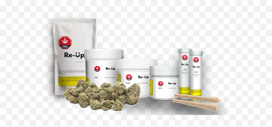 Reu2011up By Zenabis U2013 High Value Low Cost Cannabis Products Png Indica Icon