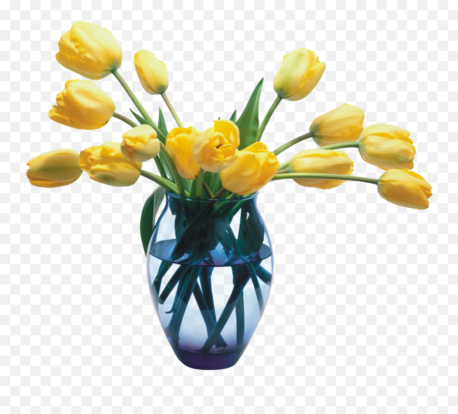 Vase Of Flowers Transparent Png