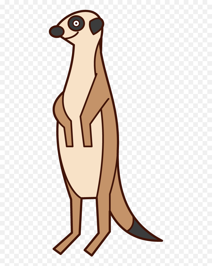Meerkat Illustration - Animal Figure Png,Meerkat Icon