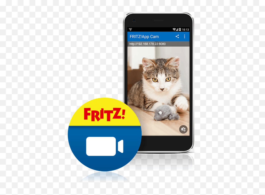 Cam Service - Cat Playing A Toy Png,Fritzbox Icon