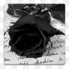 Gothic Wallpapers - Apps on Google Play Hintergrundbilder Bilder png
