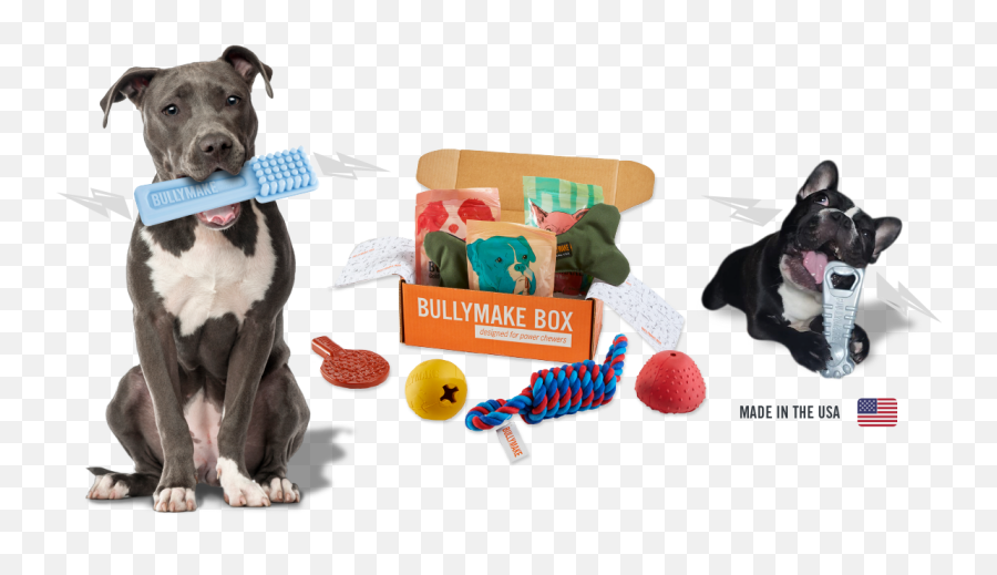 Bullymake Box - A Dog Subscription Box For Power Chewers Bully Max Toys Box Png,Icon For Dog Toy