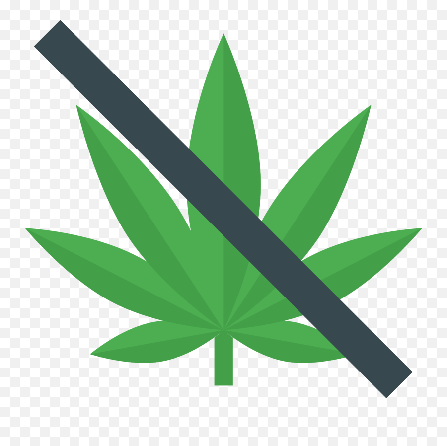 Download Hd No Drugs Icon - Drogas Png Transparent Png Image Marjunia Leaf,Drugs Icon