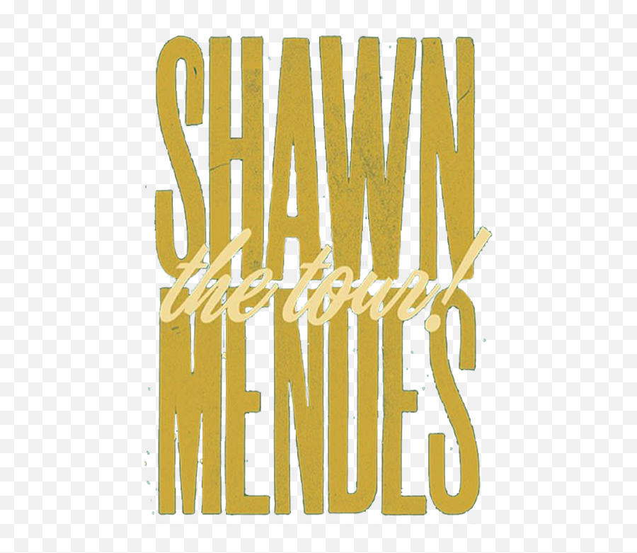 Shawn Mendes Puzzle - Language Png,Poison Icon Album