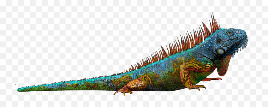 blue iguana clip art