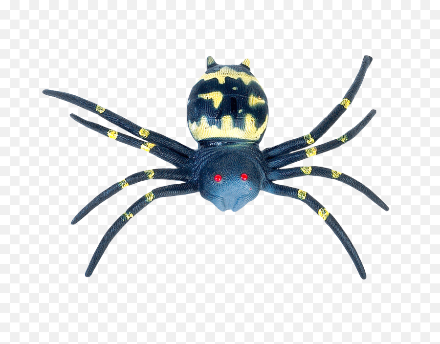 Spider Png Image - Purepng Free Transparent Cc0 Png Image Southern Black Widow,Spider Logos