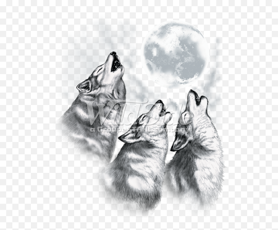 Download 3 Wolves Howling - Wolves Howling At Wolves Howling At The Moon Drawing Png,Wolves Png