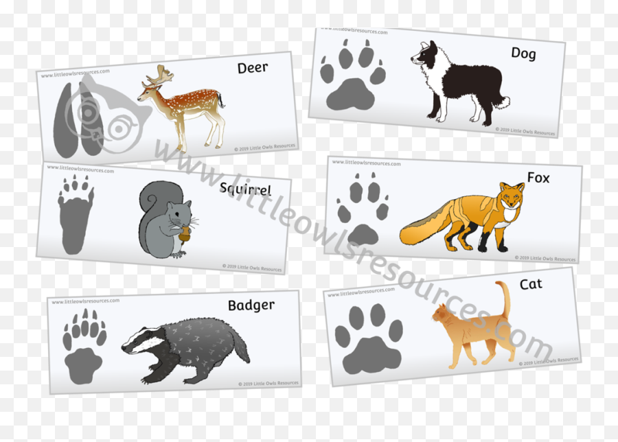 Free Animal Footprints In The Snow Printable Early Yearsey - Animal Footprints Png,Foot Prints Png