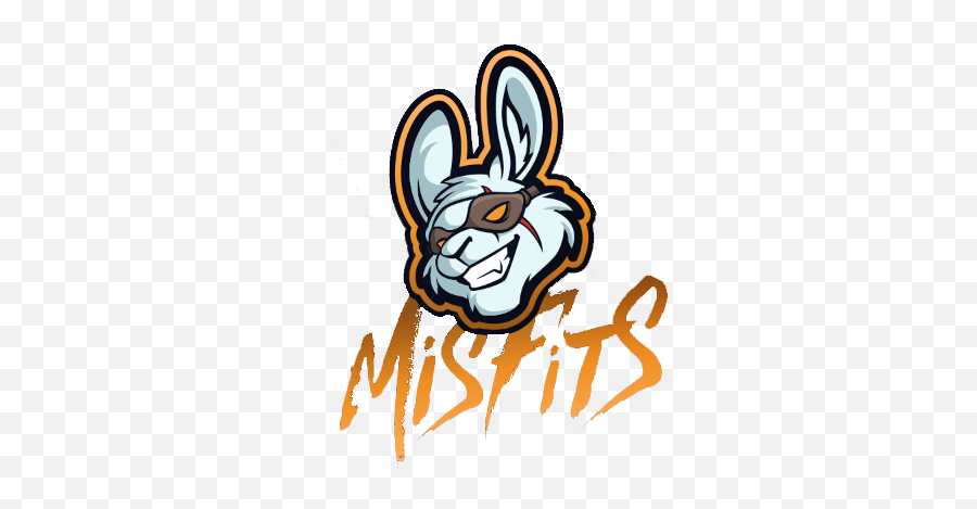 Miami Heat Acquired A Stake In Misfits - Misfits Cs Go Team Png,Miami Heat Logo Transparent