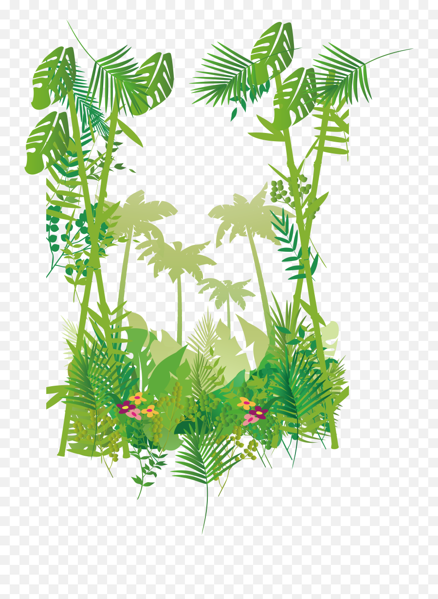 Botanical Vector Jungle Leaves Picture - Free Border Tropical Png,Jungle Leaves Png