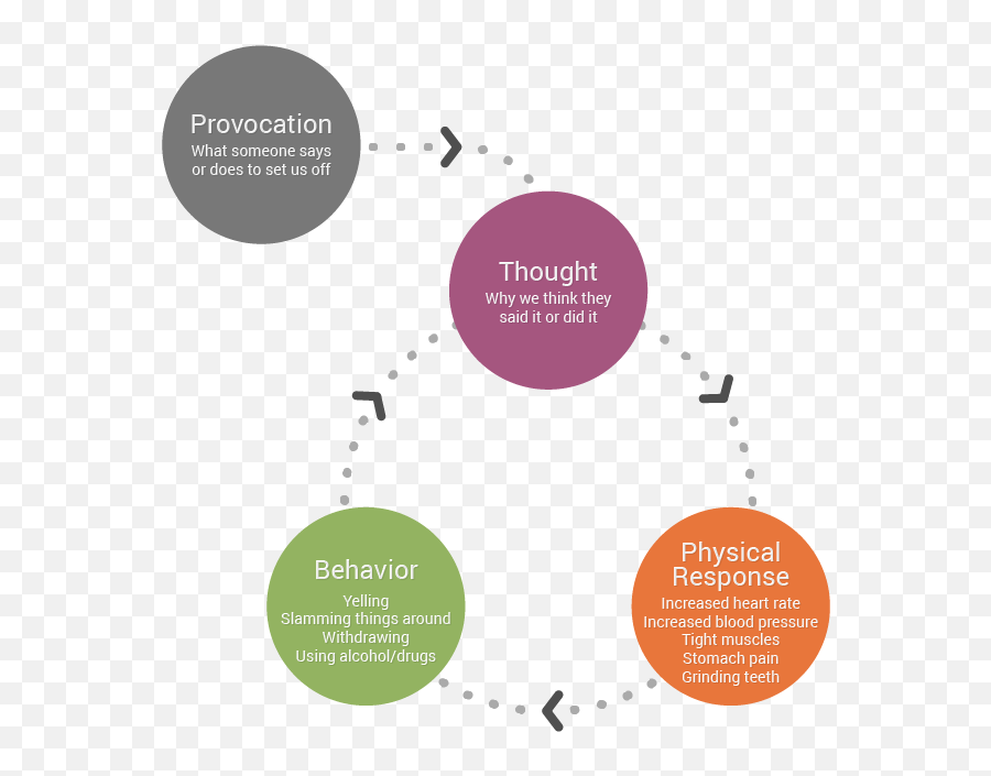 Stress Management Psychological Fight - Orflight Stress Cycle Png,Stress Png