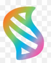 Friend Zone - Méga Evolution Symbole Png,Friendzone Logo