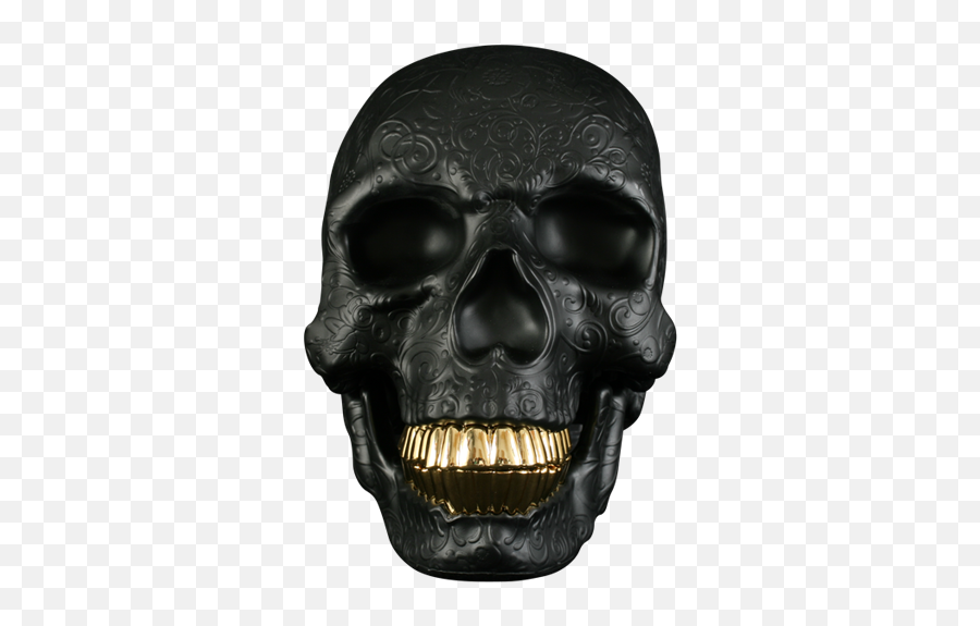 Skull With Gold Teeth Png Image - Skull With Gold Teeth Png,Gold Teeth Png
