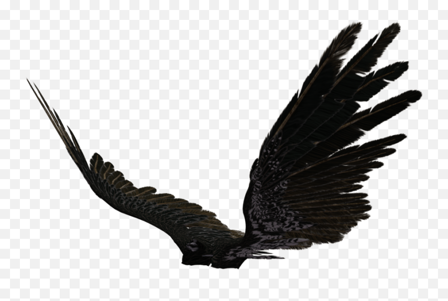 Dark Angel Clipart Transparent - Angel Black Wings Png,Black Angel Wings Png