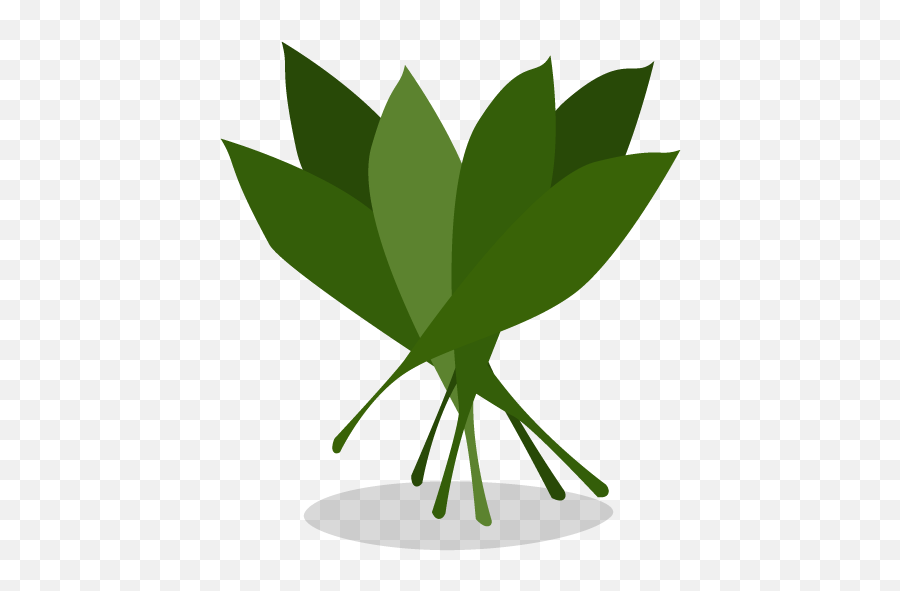 Greens Icon Myiconfinder - Illustration Png,Spinach Png