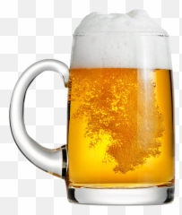Beer Mug Png Image For Free Download