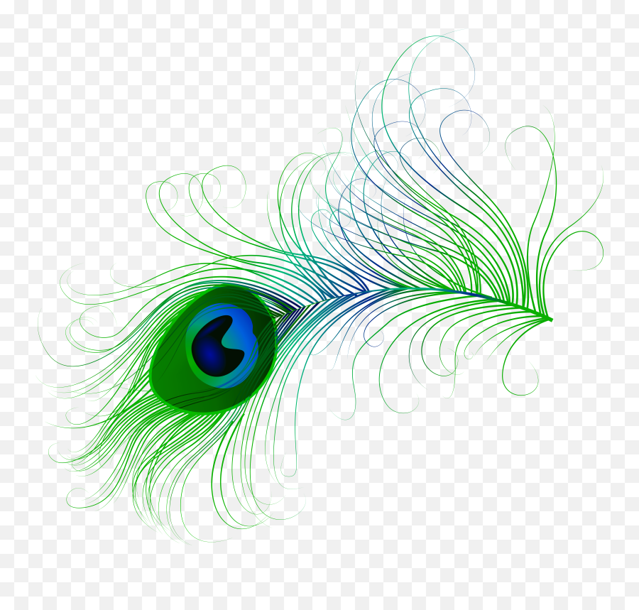 Peacock Feather Png Clip Art Image