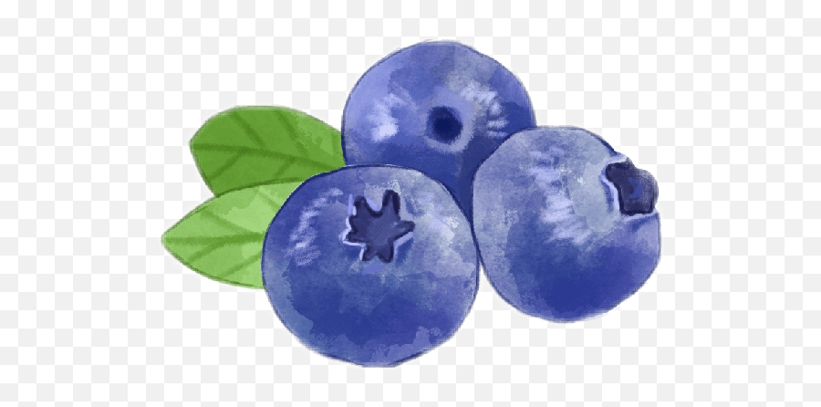 Popular And Trending Blueberry Stickers - Bilberry Png,Blueberry Transparent Background