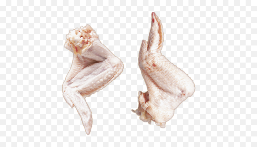 Whole Chicken Wing - Whole Chicken Wing Chicken Png,Chicken Wing Png