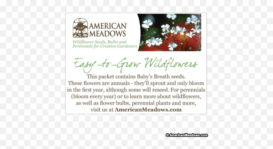 Baby Shower Seed Packet American Meadows - Christmas Eve Cayena Png,Christmas Eve Png