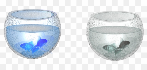 50 Free Fish Bowl U0026 Images - Pixabay Container Png