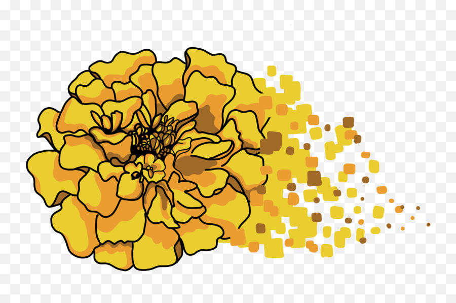 Marigold 1 - Decorative Png,Marigold Transparent