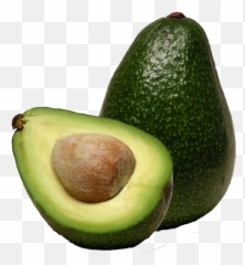Invertebral Mexico Mexican Avocado Seeds Seedlings And - Avocado Fruit Png,Aguacate Png