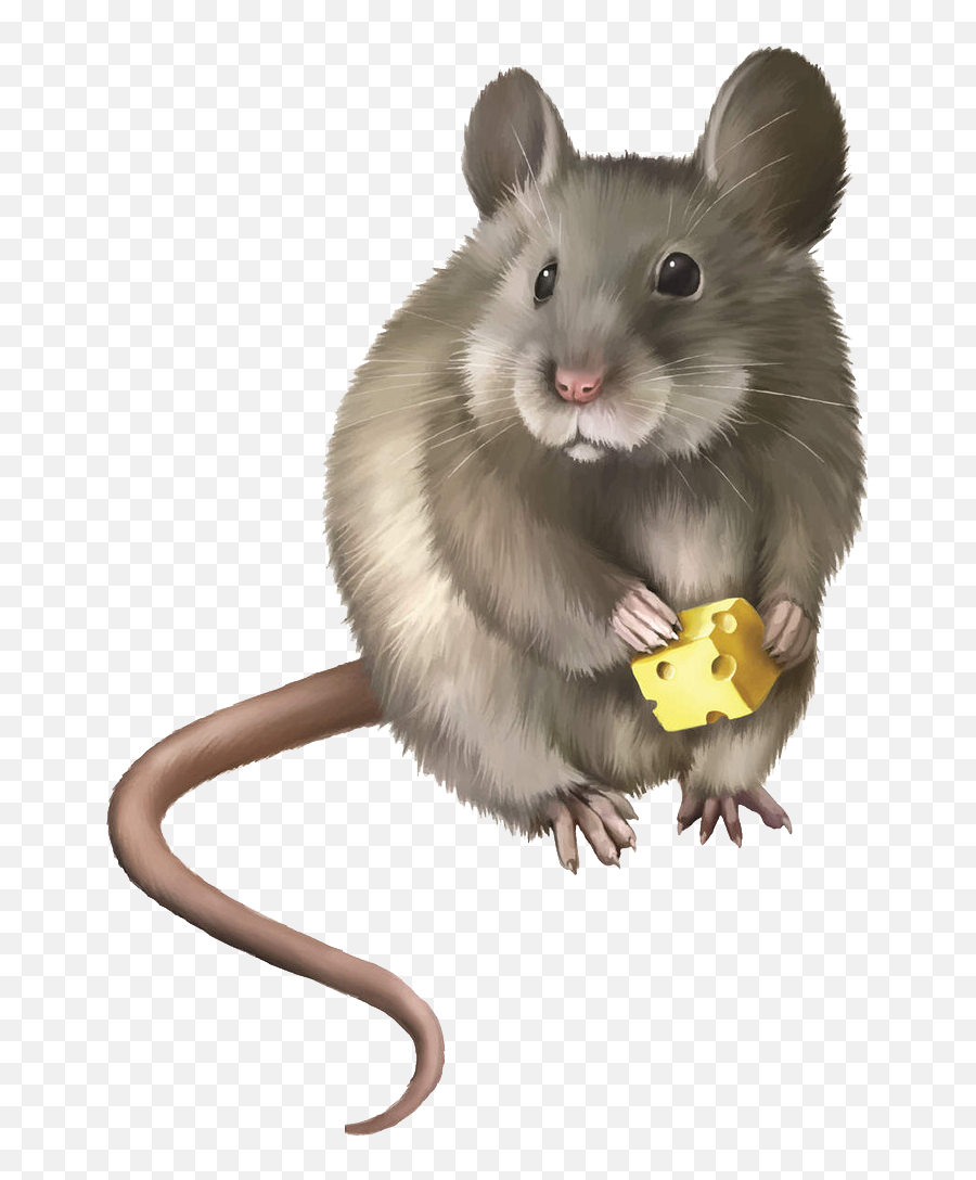 Clipart Rodent - Realistic Mouse Clipart Png,Rodent Png