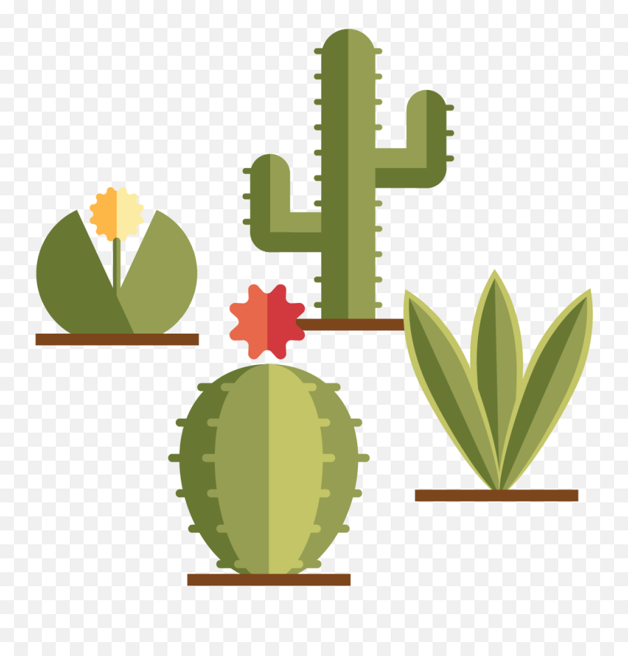 Desert Gardening Classes In Phoenix Az - Cacto Minimalista Png,Desert Plant Png