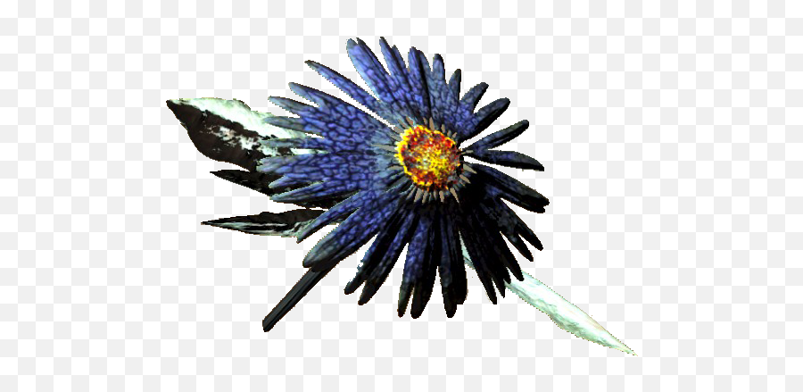 Aster - Sunflowers Png,Fallout 4 Honeycomb Icon