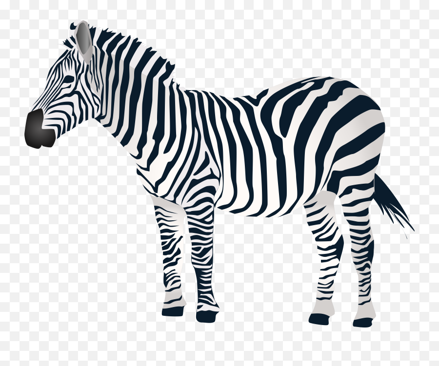 Zebra Png Clipart Logo