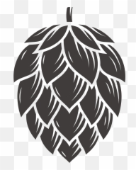 About Batch Twenty - One Our Company Handcrafted Skincare Hops Vector Png,Hops Png