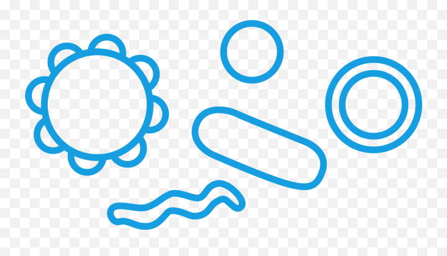 The Infant Skin Microbiome Webinar Johnsonu0027s Baby - Dot Png,Microbiome Icon