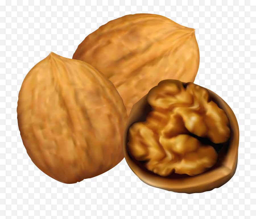 Walnuts Png Transparent - Walnut Clipart Png,Walnut Transparent