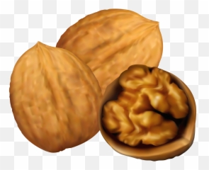 Walnuts Png Transparent - Walnut Clipart Png,Walnut Transparent