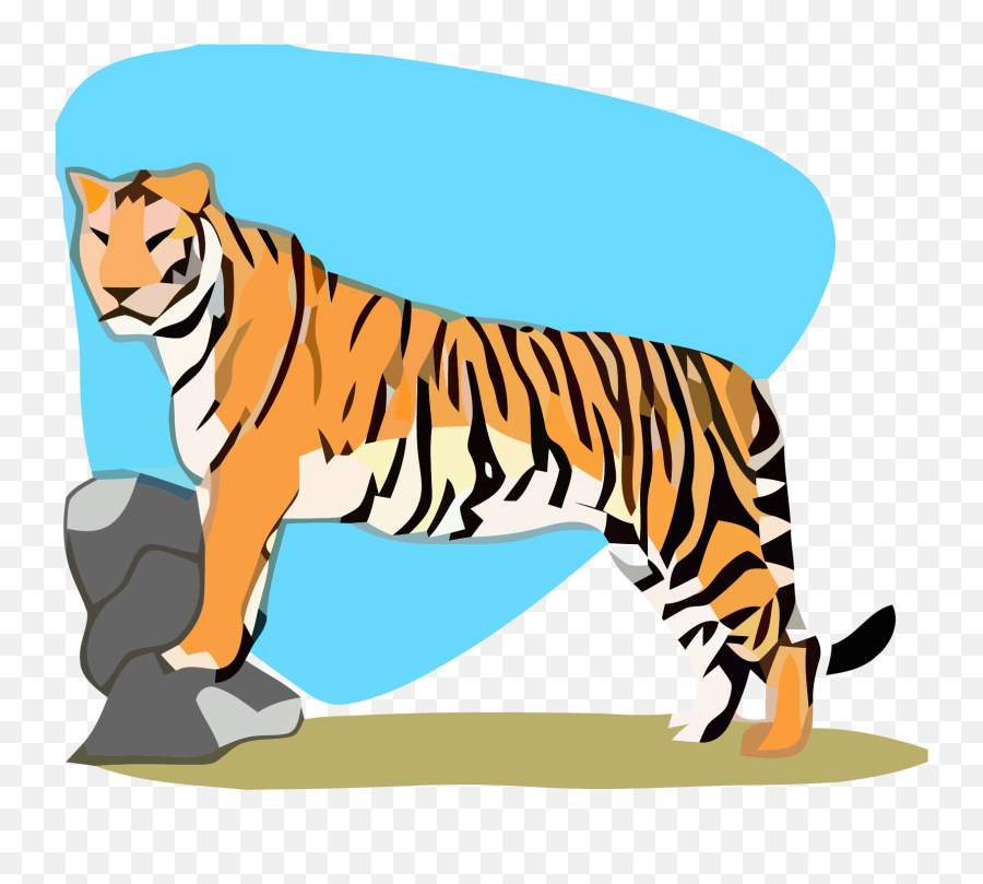Tigger - Siberian Tiger,Rock Clipart Transparent