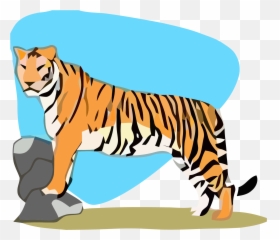 Tigger - Siberian Tiger,Rock Clipart Transparent