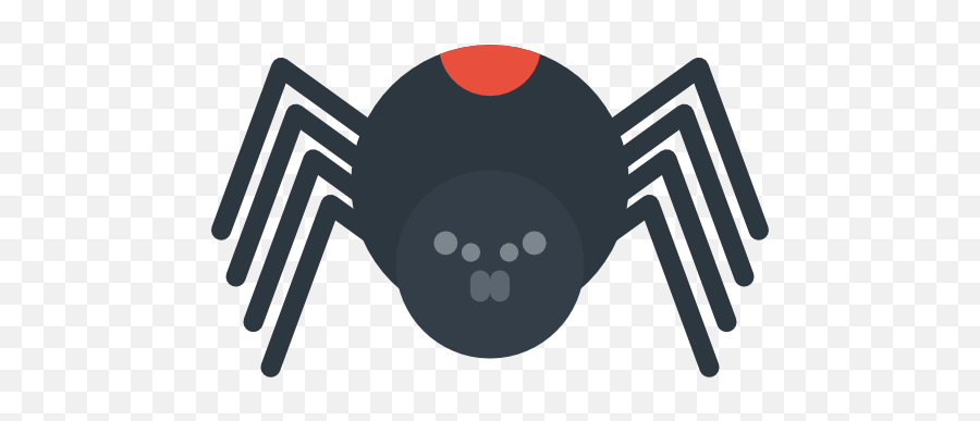 Insect Animal Kingdom Arachnid Spider Animals Icon Png