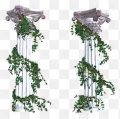 Vines Png Images Free Download - Greek Columns