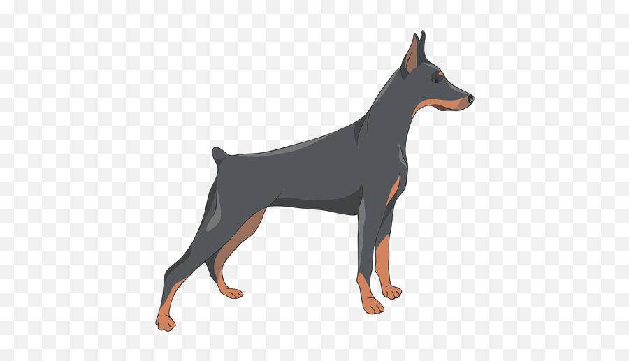 Transparent Png Svg Vector File - Doberman,Doberman Png