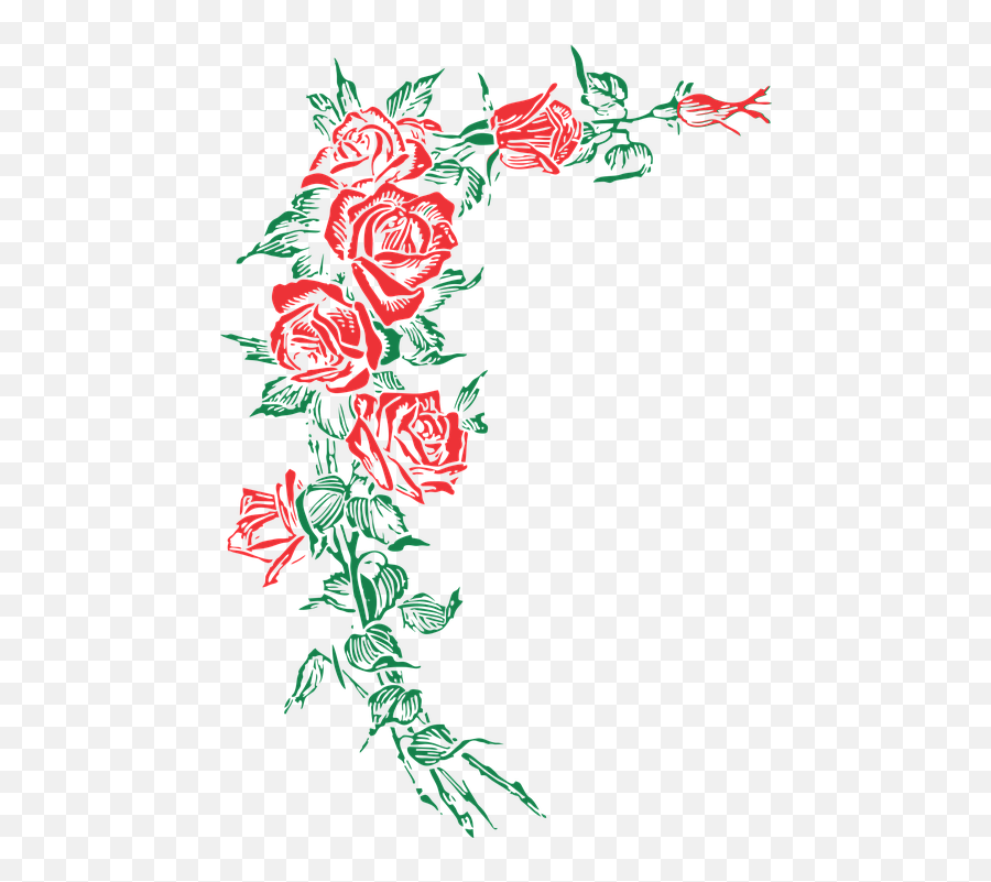 Rose Roses Floral Flower Vintage - Vintage Rosas Vector Png,Vintage Vector Png