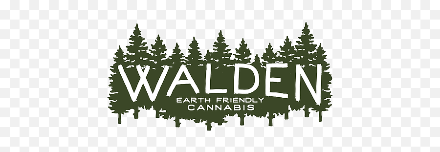 Walden Cannabis - Aleister Black Wallpaper Pc Png,Walden Media Logo