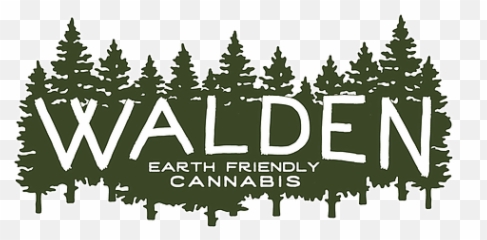 Walden Cannabis - Aleister Black Wallpaper Pc png