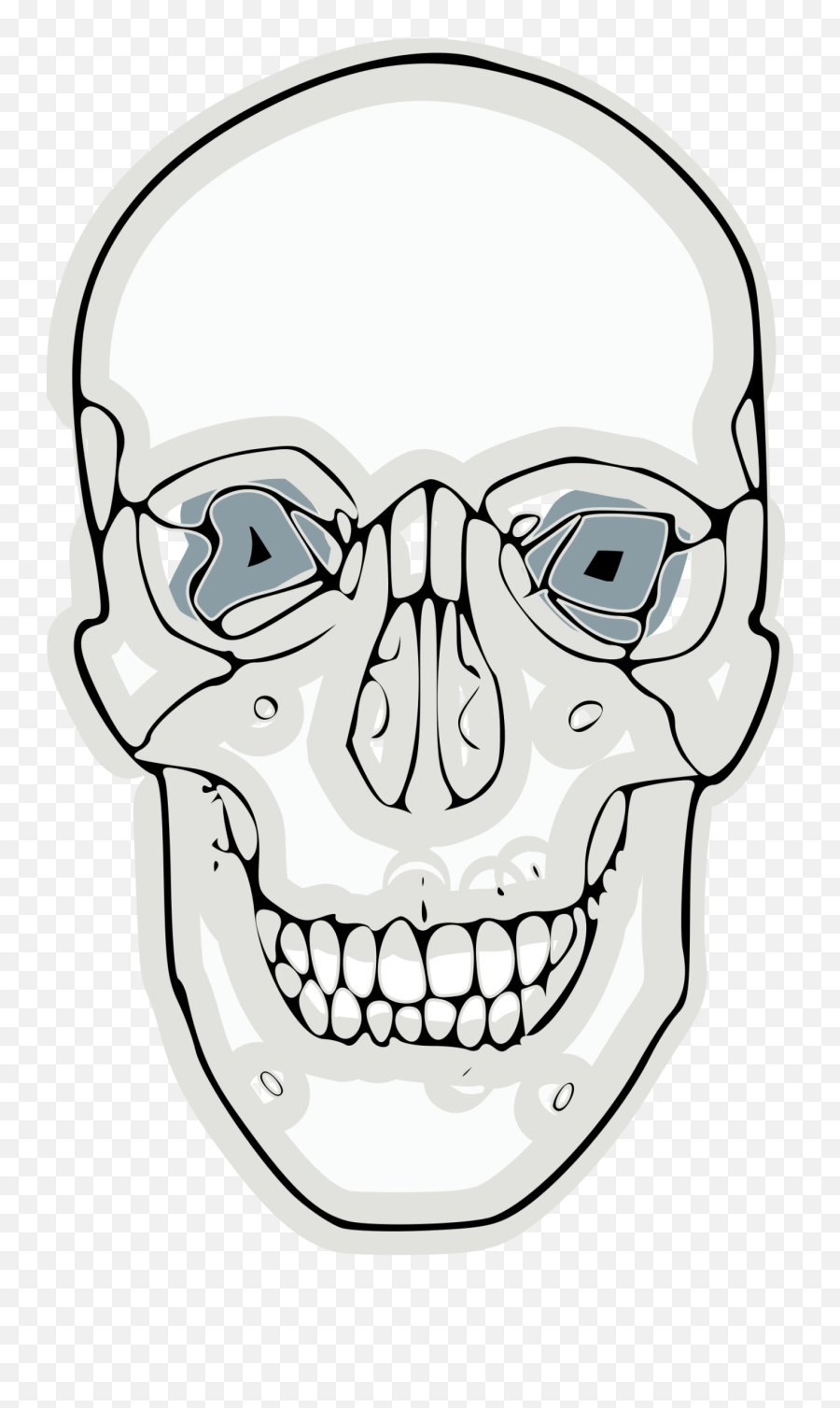 Digitalized Human Skull Clipart - Skull Png,Human Skull Png