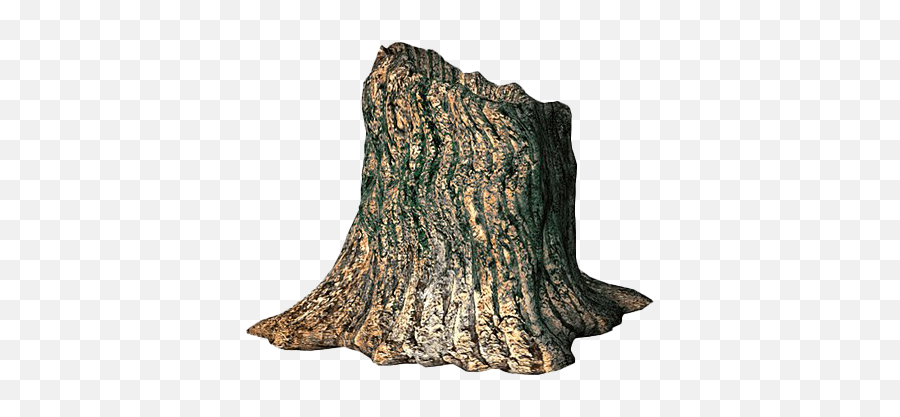 Stump Tree Trunk Png Transparent Image - Tree Stump Png,Fortnite Wood Png