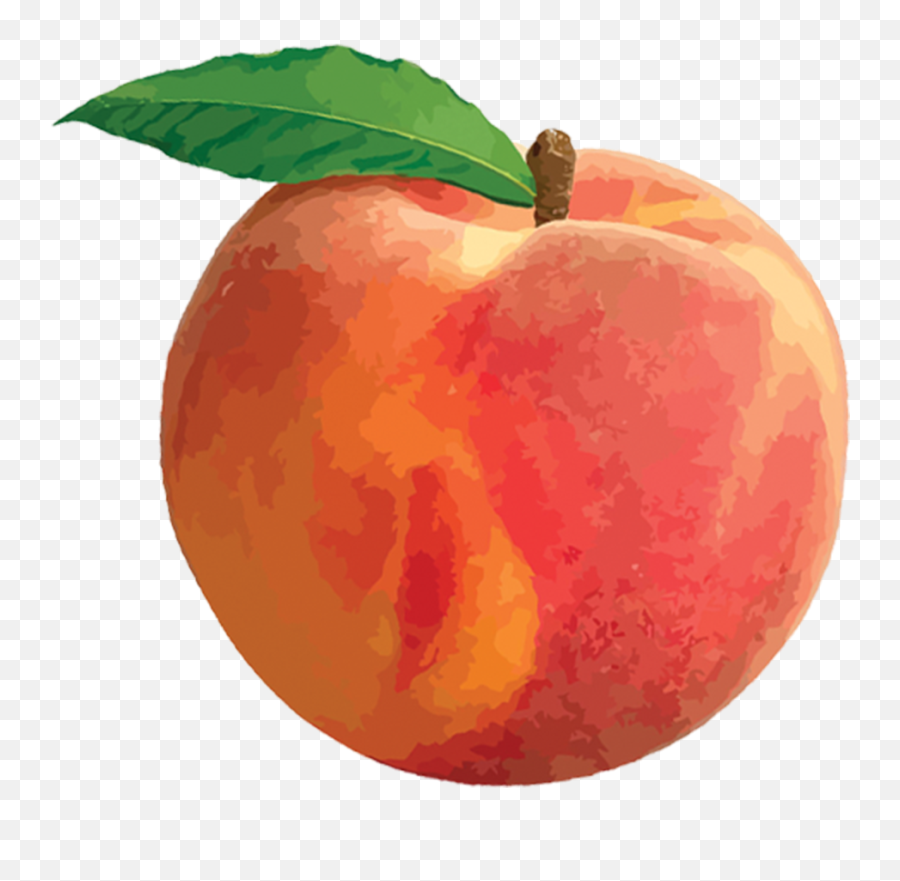Download Peach Png - Free Transparent Png Images Icons And Transparent Background Peach Clip Art,Kronk Png