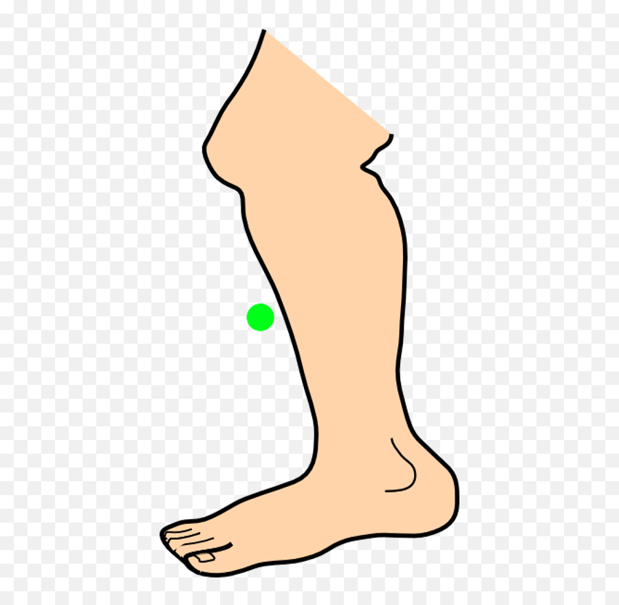 Download Shin - Leg Png Clipart Animated Png Image With No Stomp Clipart,Animated Png