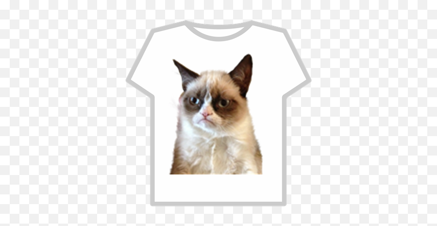 Transparent Grumpy Cat - Roblox Cat Face Png,Grumpy Cat Png